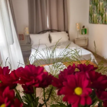 Cute studio in Corfu town Corfu (city)